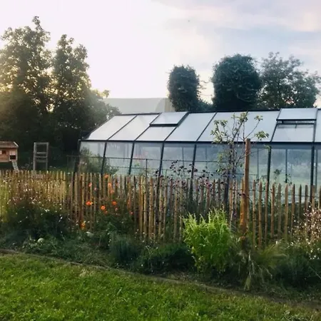 Appartements Le Catalpa, Le Murier Et La Girouette Mittelhausbergen
