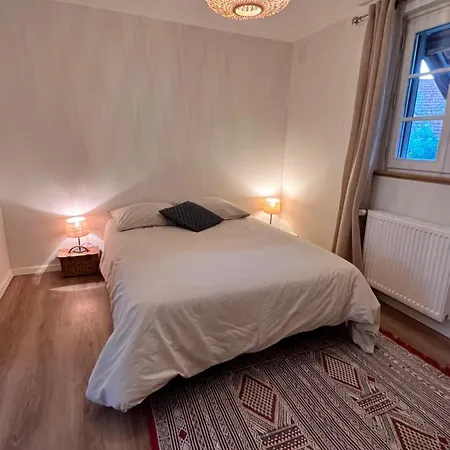Appartements Le Catalpa, Le Murier Et La Girouette Mittelhausbergen