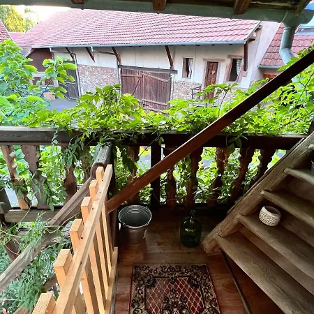 Appartements Le Catalpa, Le Murier Et La Girouette Mittelhausbergen