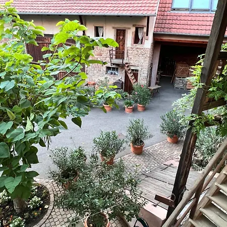 Appartements Le Catalpa, Le Murier Et La Girouette Апартаменты